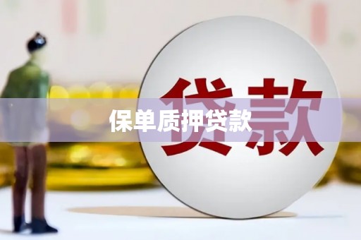 天元保单质押贷款