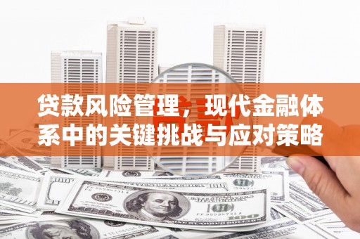 界首贷款风险管理，现代金融体系中的关键挑战与应对策略