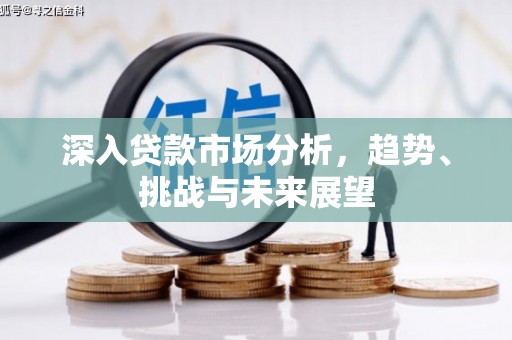 抚远深入贷款市场分析，趋势、挑战与未来展望
