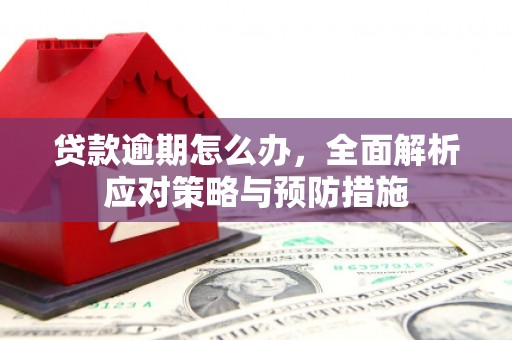 广水贷款逾期怎么办，全面解析应对策略与预防措施