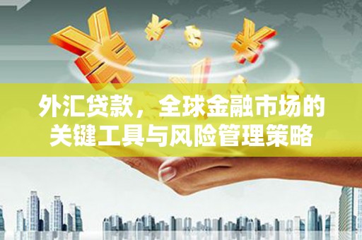 阿城外汇贷款，全球金融市场的关键工具与风险管理策略