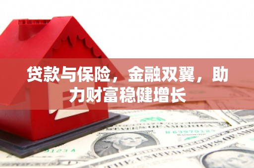 卫辉贷款与保险，金融双翼，助力财富稳健增长