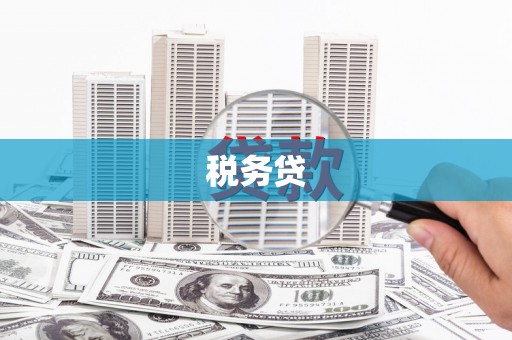 博爱税务贷