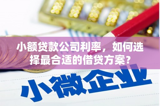 内门小额贷款公司利率，如何选择最合适的借贷方案？