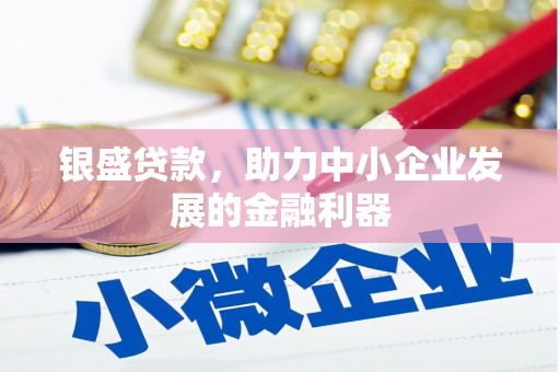 张家港银盛贷款，助力中小企业发展的金融利器