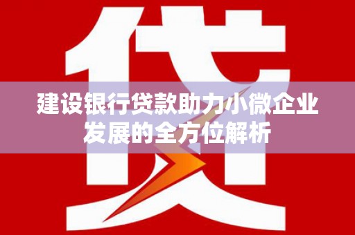 圣方济各堂区建设银行贷款助力小微企业发展的全方位解析