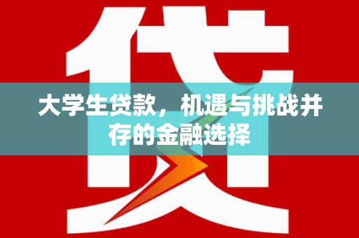 黄骅大学生贷款，机遇与挑战并存的金融选择