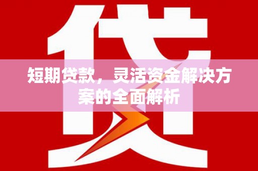 文成短期贷款，灵活资金解决方案的全面解析