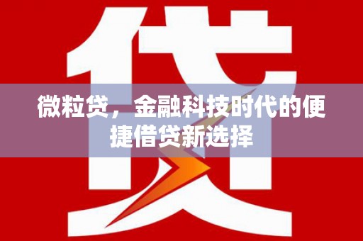 随州微粒贷，金融科技时代的便捷借贷新选择