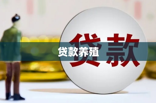 金湾贷款养殖