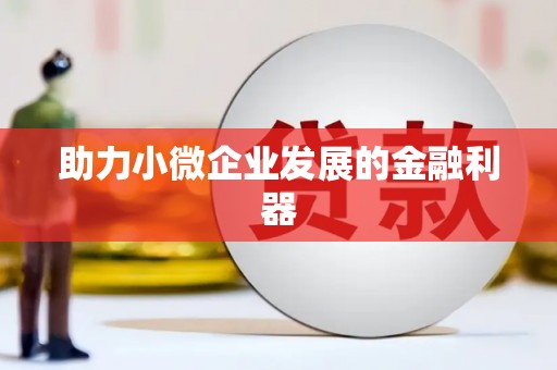 环江助力小微企业发展的金融利器