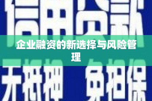 芙蓉企业融资的新选择与风险管理
