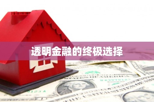 阿巴嘎旗透明金融的终极选择