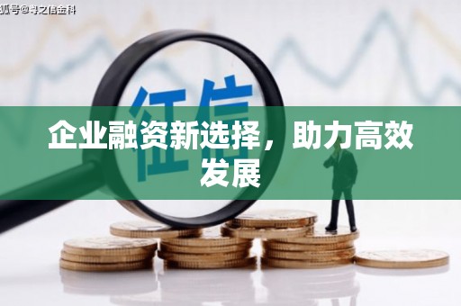 阆中企业融资新选择，助力高效发展