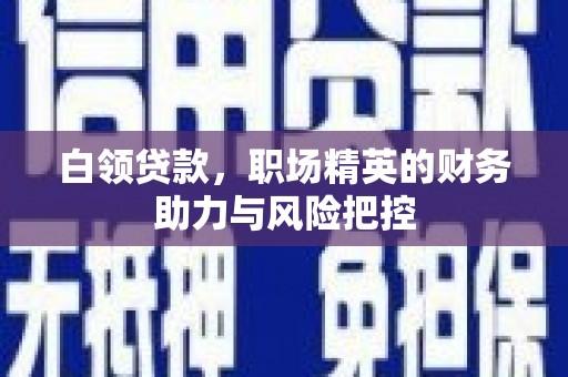 竹南白领贷款,职场精英的财务助力与风险把控 竹南白领贷款,职场精英的财务助力与风险把控