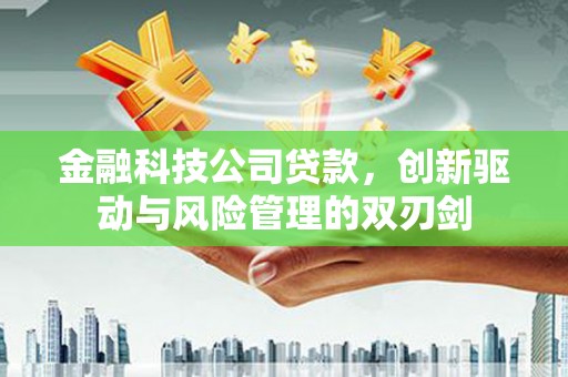 茂县金融科技公司贷款，创新驱动与风险管理的双刃剑